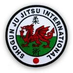 Ju Jitsu embroidered badge